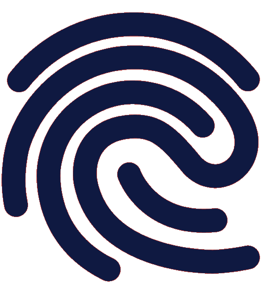 randstad insight