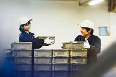 website_large-rm_327.jpg