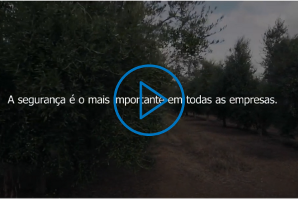 screen for a video